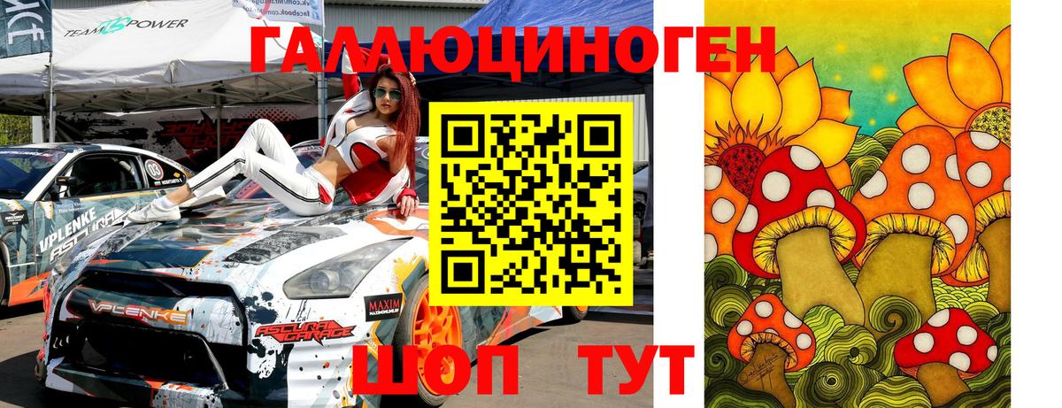 Псилоцибиновые грибы Psilocybe  Вход с VPN  Псилоцибиновые грибы Psilocybe  Железногорск 